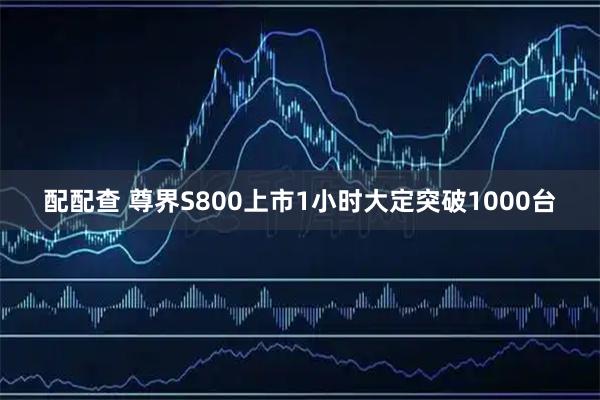 配配查 尊界S800上市1小时大定突破1000台