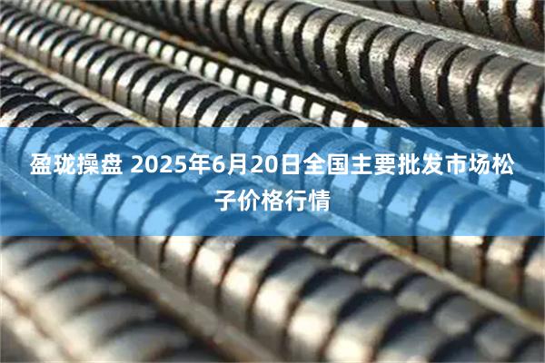 盈珑操盘 2025年6月20日全国主要批发市场松子价格行情
