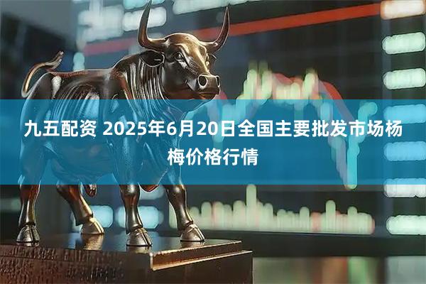 九五配资 2025年6月20日全国主要批发市场杨梅价格行情