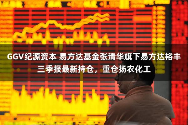 GGV纪源资本 易方达基金张清华旗下易方达裕丰三季报最新持仓，重仓扬农化工